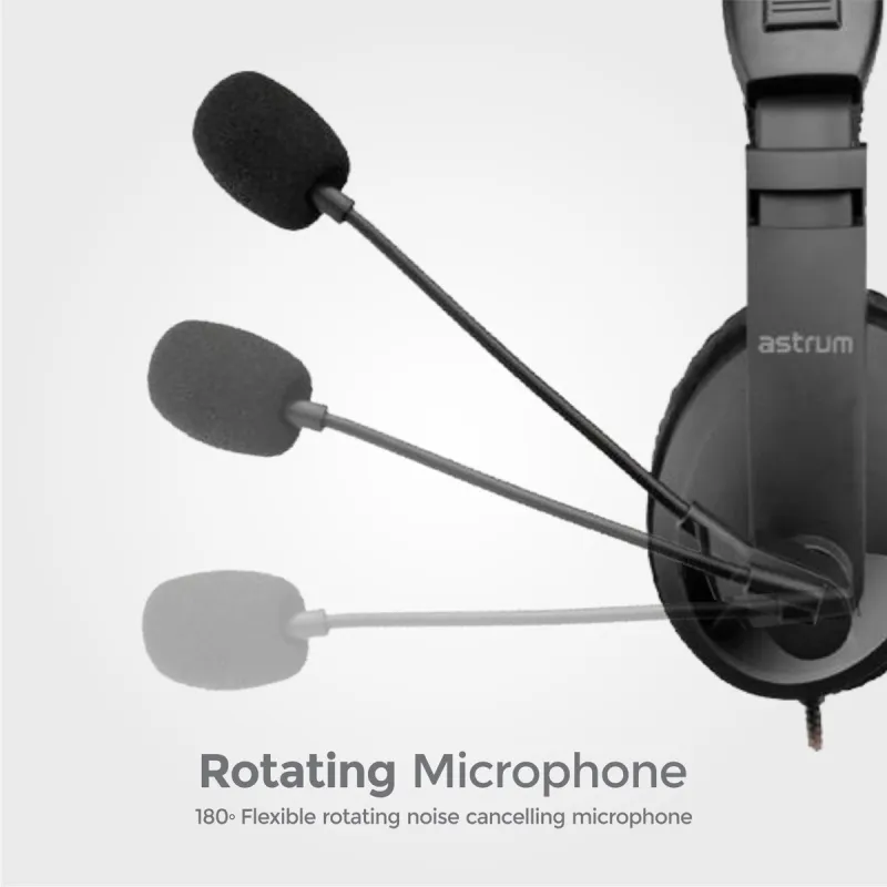 PureBass Wired Earphones with Mic WE-23
